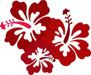 Hibiscus PNG Pic PNG Clip art