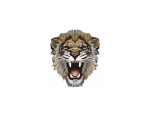 Lioness Roar PNG Photos PNG Clip art