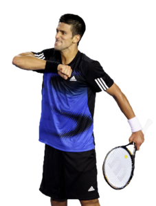 Novak Djokovic PNG HD PNG Clip art