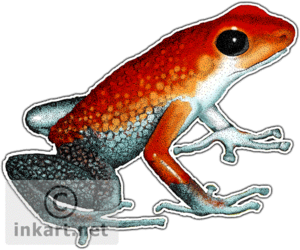 Poison Dart Frog PNG Picture PNG Clip art