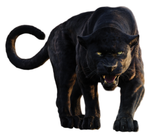 Panther PNG Clipart PNG Clip art