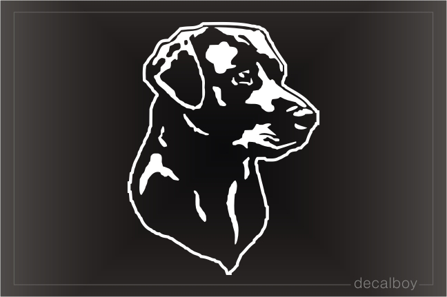 Labrador Face 321 Car Window Decal