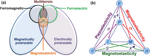 Figure 1: 
						(a) Relationship between ferroic materials. Notice that only small group of materials are both multiferroic and magnetoelectric. (b) Heckman diagram illustrating the physical relationships present in commonly occurring materials and principle for design of new materials (Eerenstein, Mathur, and Scott 2006; Martin et al. 2008).
					