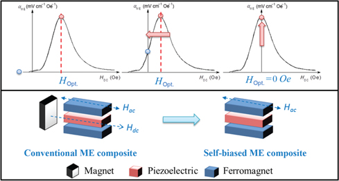 Figure 2: 
						Schematic diagrams depicting the comparison between conventional and self-biased ME composites.
					