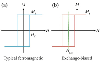 Figure 13: 
						Magnetization hysteresis loop for a (a) typical ferromagnetic material, and (b) a magnetic material with exchange anisotropy.
					