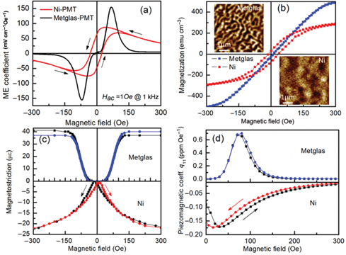 Figure 18: 
						(a) Magnetoelectric voltage coefficients of Ni-PZT and Metglas-PZT bilayer laminates as a function of DC magnetic field, (b) magnetization-magnetic field response of Ni and Metglas, inset shows their magnetic domain images, (c) DC magnetic field dependence of the magnetostriction, and (d) DC magnetic field dependence of piezomagnetic coefficient for Ni and Metglas (Zhou et al. 2012).
					