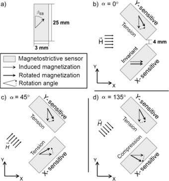 Figure 32: 
						Exchange biased magnetostrictive layers with aligned magnetization. (a) The induced anisotropy inclined with respect to the long cantilever axis. (b)–(d) Illustration that external magnetic fields rotate the magnetization resulting in magnetostrictive deformation (Lage et al. 2013).
					