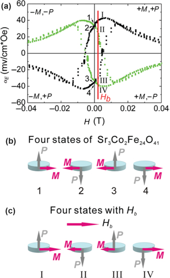 Figure 36: 
						(a) ME voltage coefficient as a function of DC bias for a Sr3Co2Fe24O4 multiferroic. Black line indicates measurement after positive electrical polarization, whereas green line represents measurement after negative polarization. (b) Schematic diagram of four physical state of the multiferroic. (c) Schematic diagram of four physical states of the FSM prototype under bias condition. M represents the magnetic polarization and P represent electrical polarization (Wu et al. 2012).
					