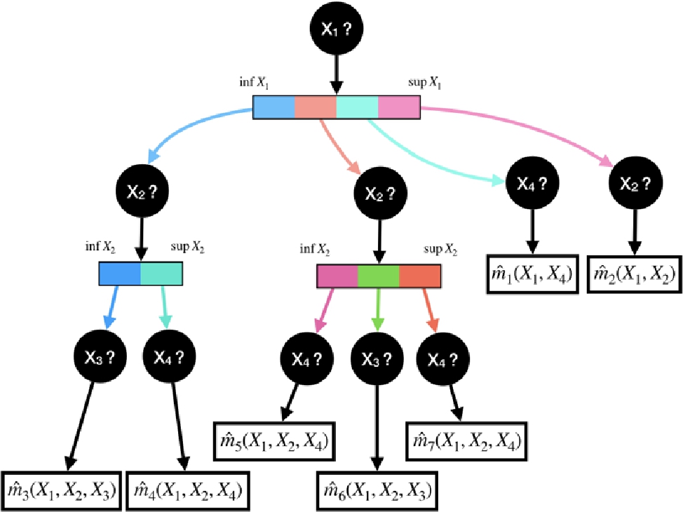 Figure 1 
              Intelligent Questionnaire expected. Actions chosen are represented by black circles, transitions are colored depending on revealed values and final predictions are indicated by functions mˆ.{\hat{m}_{.}} in terminal leaves. In this example, the algorithm splitted the range of values for feature X1{X_{1}} in four bins. On the second layer, the algorithm splitted differently the range of values of feature X2{X_{2}} depending on the observed value for X1{X_{1}} (two and three bins respectively). This process remembers all values provided before, partitions space X\mathcal{X} and instead of assigning a single value for prediction, as a decision tree would, it uses a prediction function based on retrieved information. The objective is therefore not necessarily to group observations homogeneous in Y, but rather the ones following similar underlying models of Y|X˜Y|\tilde{X}.
            