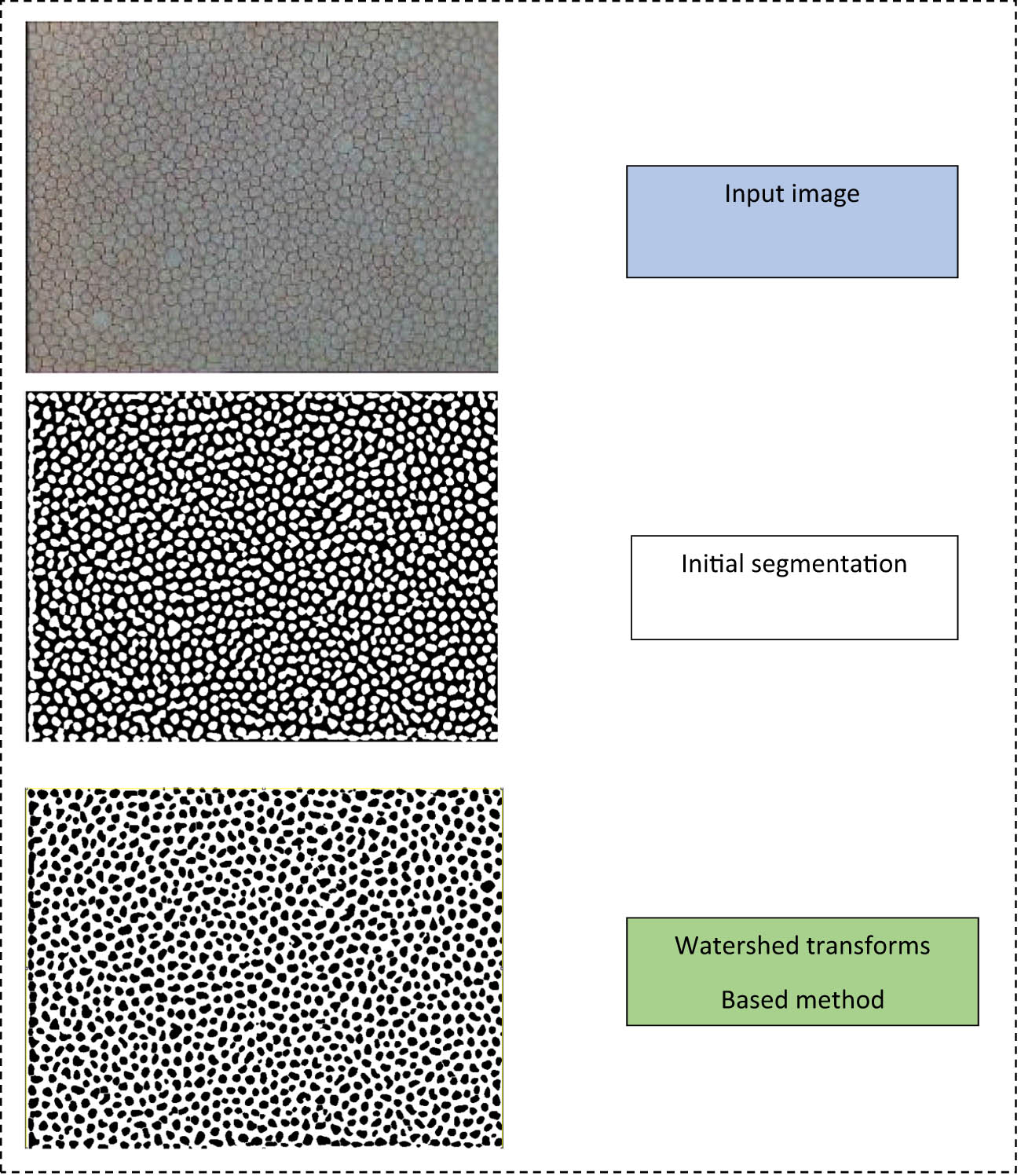 Figure 14 
                     Images depicting the output of the TWDS segmentation-based method.
                  