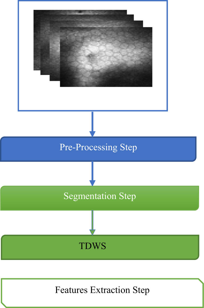 Figure 15 
                  Medical feature extraction.
               