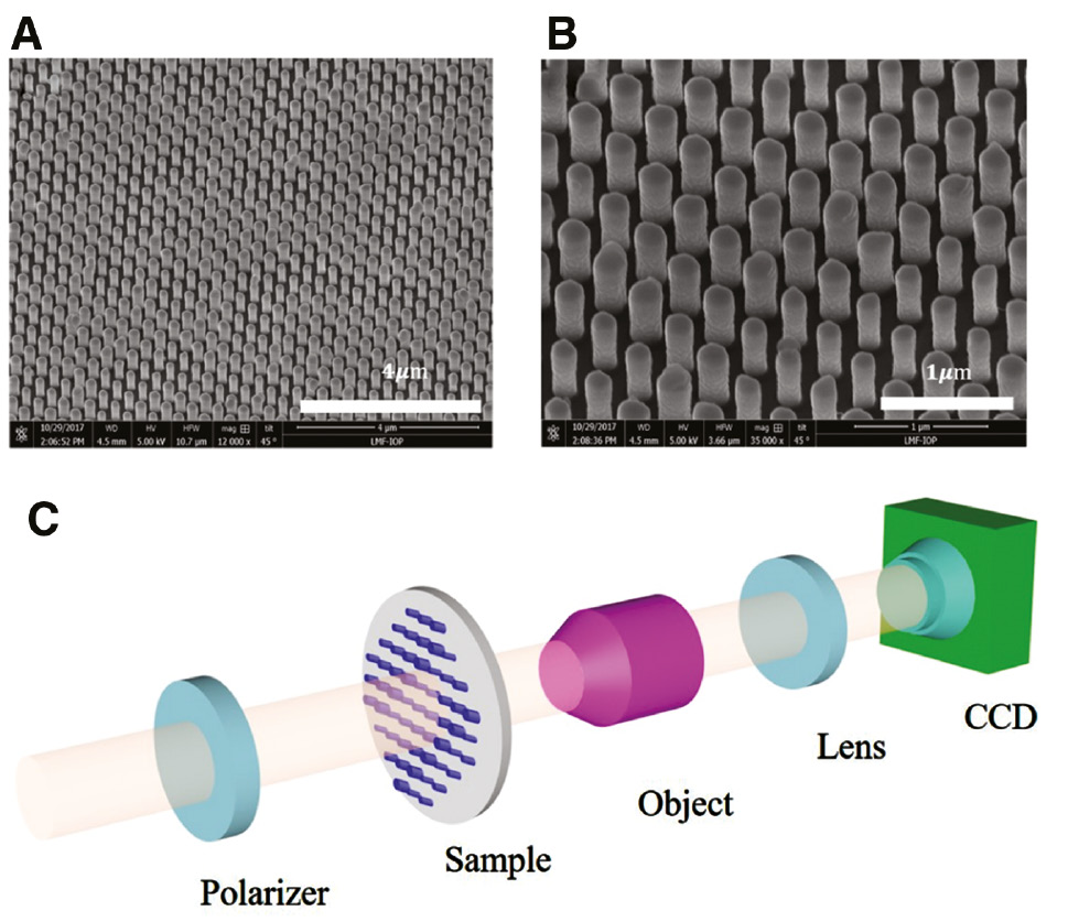 Figure 4: Sample fabrication and experimental setup.(A, B) Side view of the SEM images of the HMS. (C) Experimental setup for the characterization of metasurface.