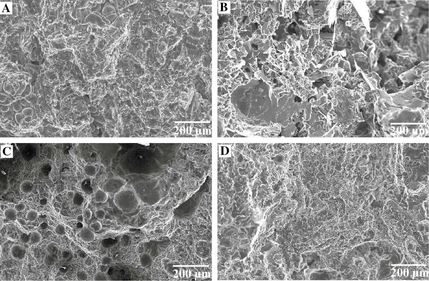 Figure 8: Fractographs of tensile specimens (A) unreinforced alloy (B) homogeneous composite (C) FGM – outer section and (D) FGM – inner section.