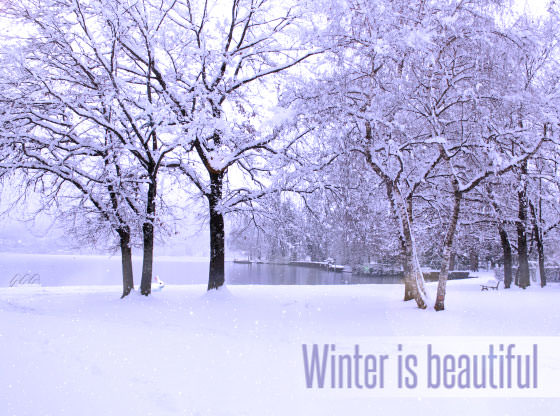 Winter is Beautiful