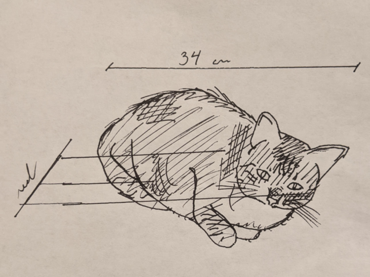 A pen sketch of a cat lying down.