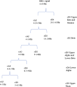 Wavelet decomposition of different bands