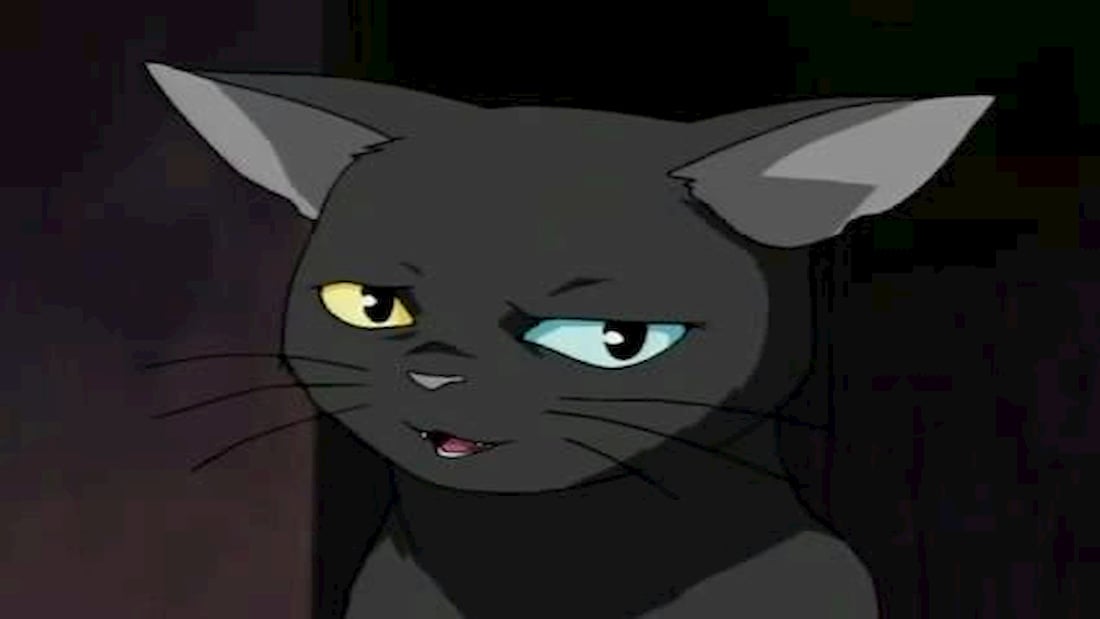 FEATURE 8 Of Our Favorite Black Cats In Anime  Crunchyroll News