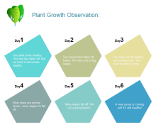 Plant Growth Observation Chart