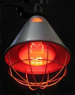 Heat Lamp