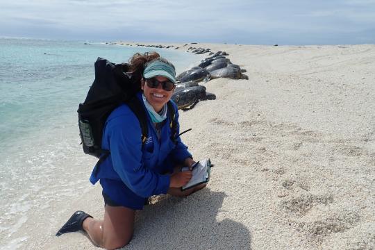 Marylou Staman conducts green sea turtle surveys at Lalo (French Frigate Shoals).  Credit:  NOAA Fisheries.