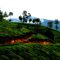 Munnar Holidays