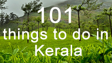 101 Things to do