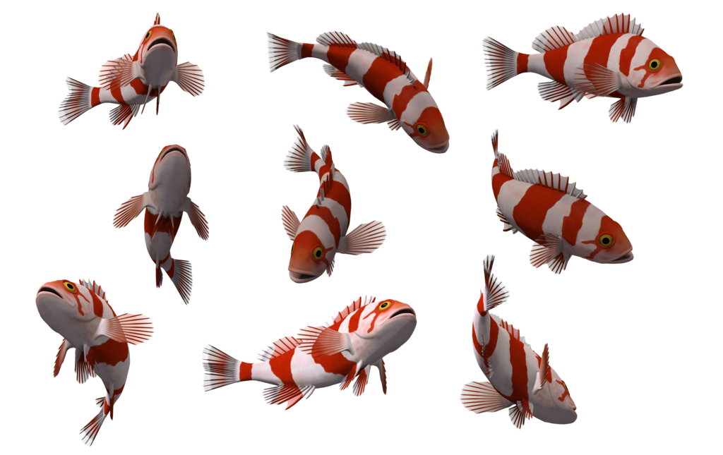 Fish Png Transparent