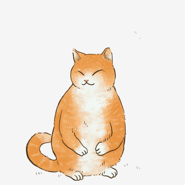 Gambar Karikatur Kucing