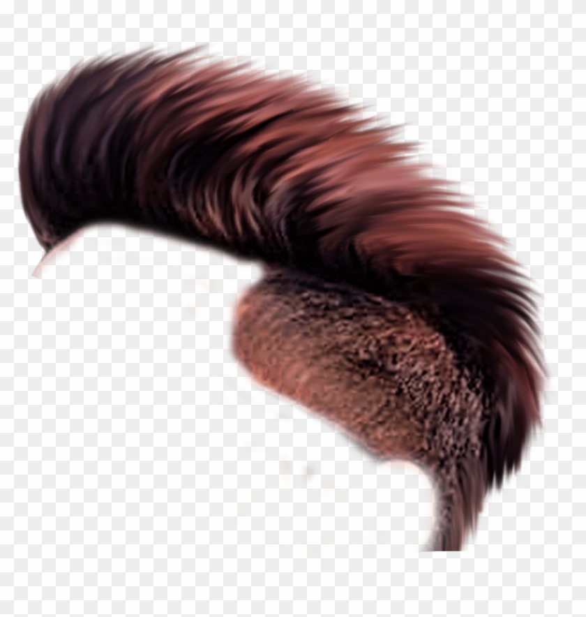 Hair Png Files