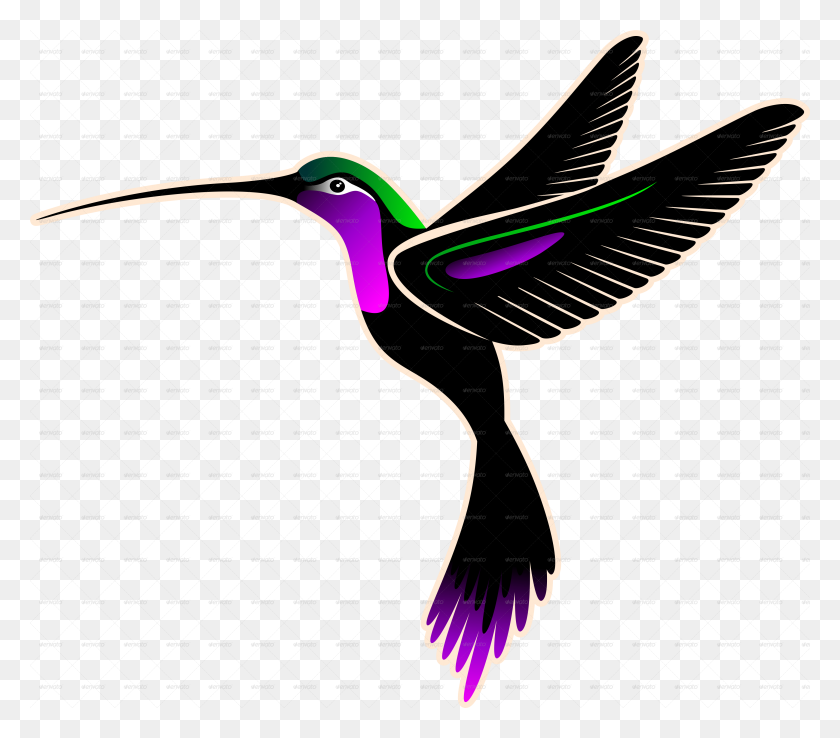 Hummingbird Clipart Png