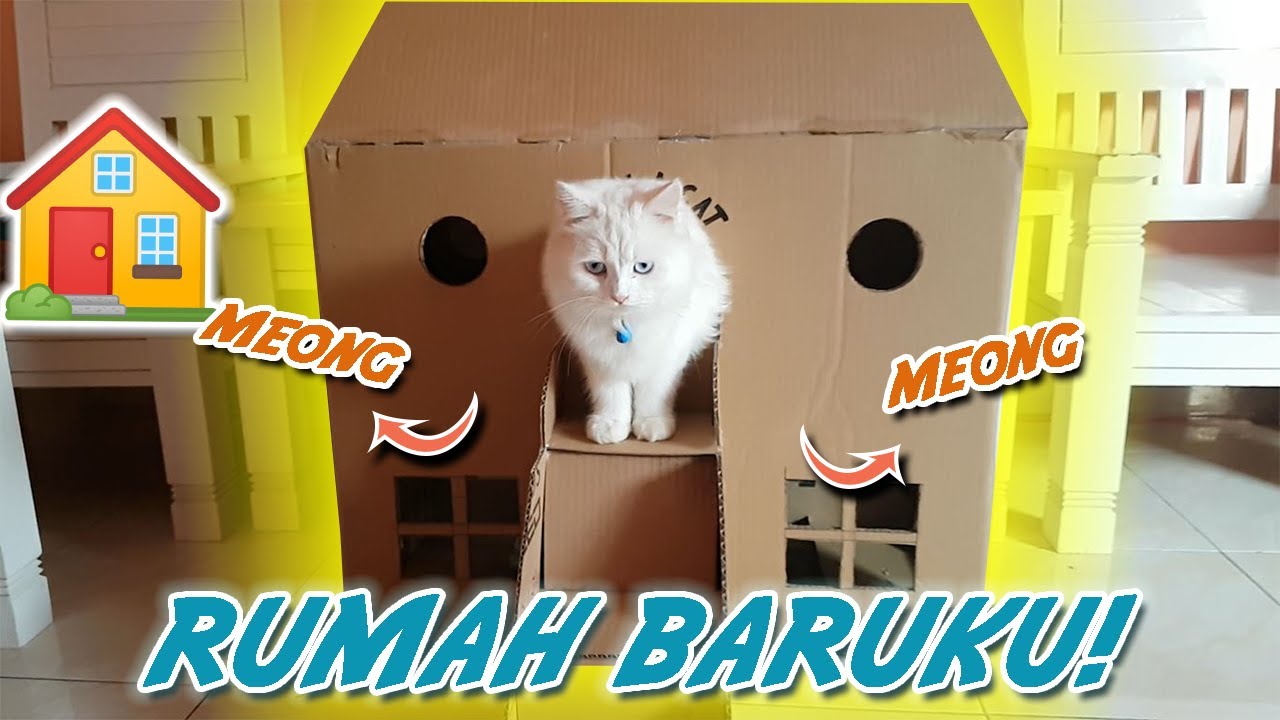 Membuat Rumah Kucing Dari Kardus