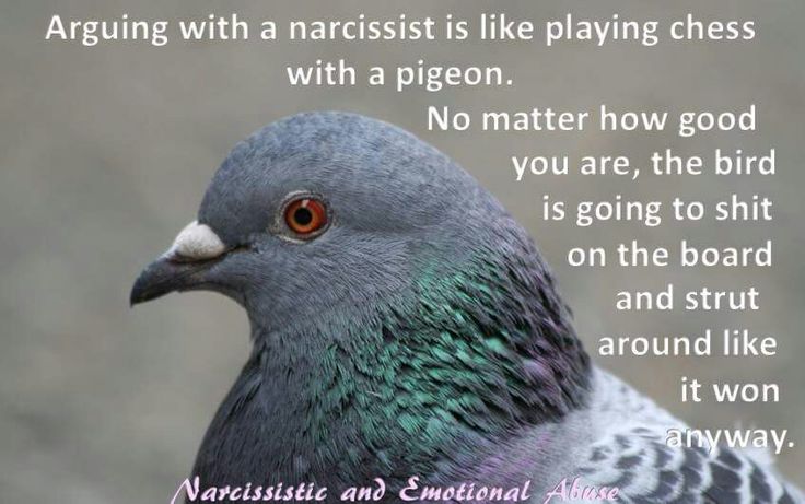 Pigeon Chess Meme