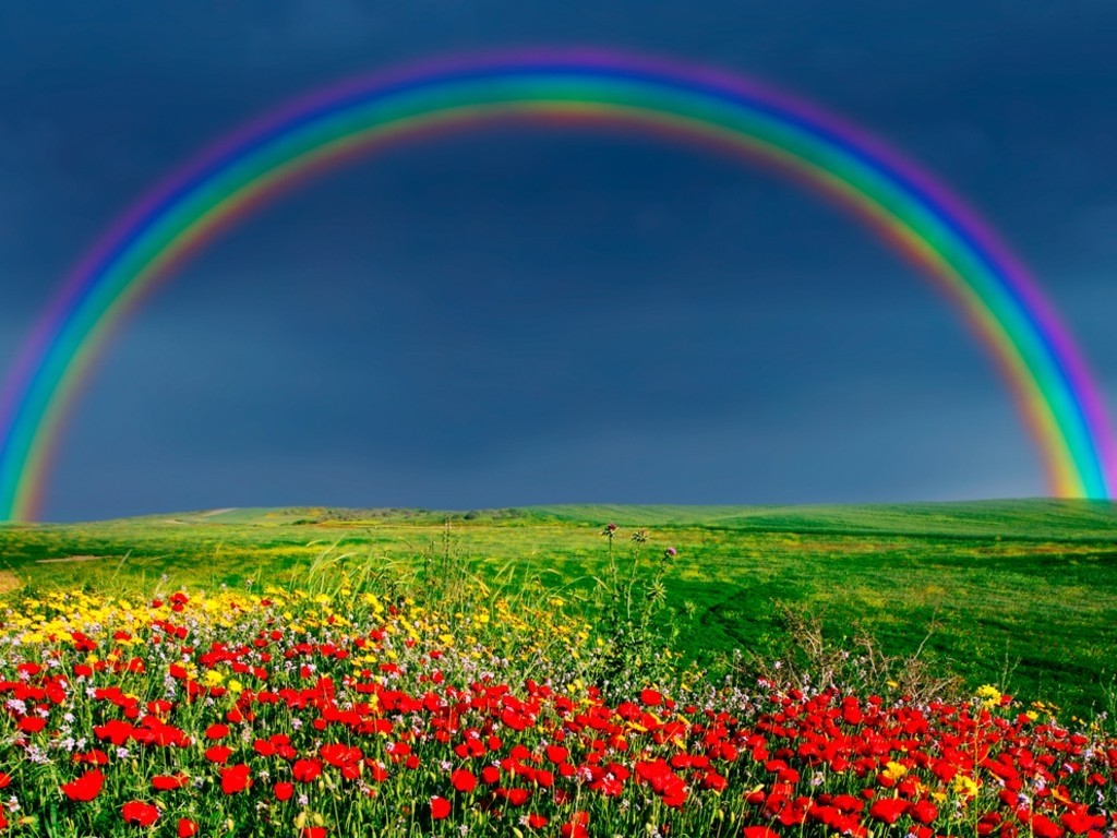 Rainbow Pictures Download