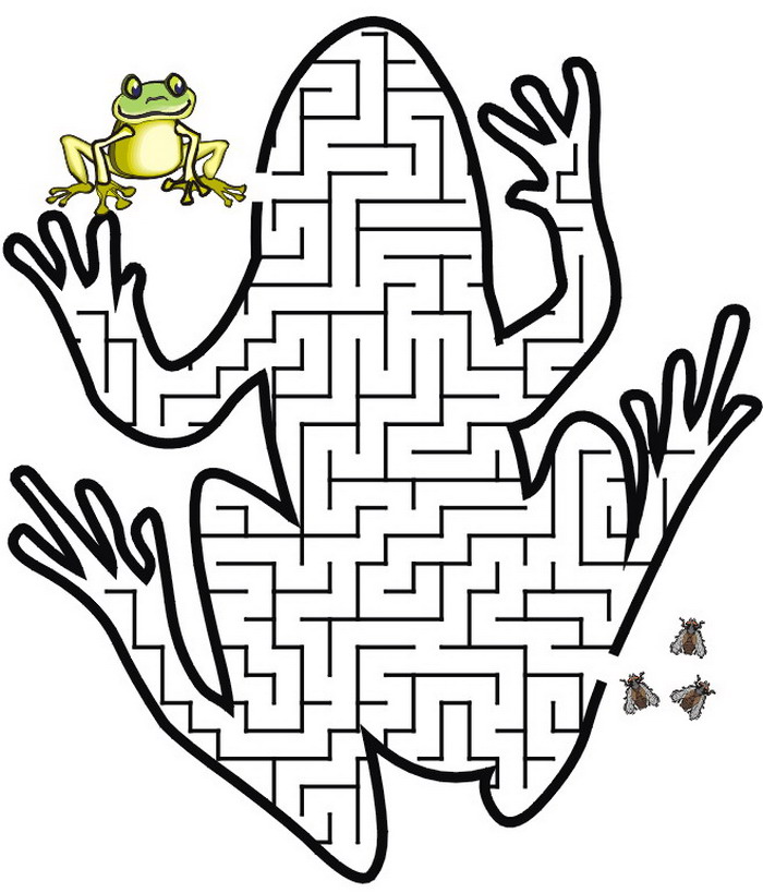 Animal Mazes For Kids