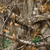 Realtree EDGE Camo