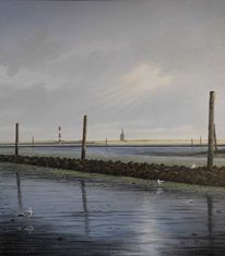 Sonnenlicht, Möwe, Vogel, Wangerooge