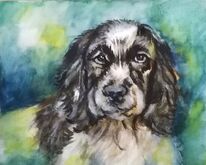 Kontrast, Tiere, Aquarell tiere, Hunde