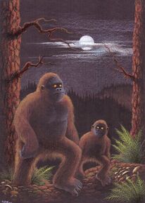 Nordamerikanischer bergwald, Kryptozoologie, Bigfoot, Zeichnungen