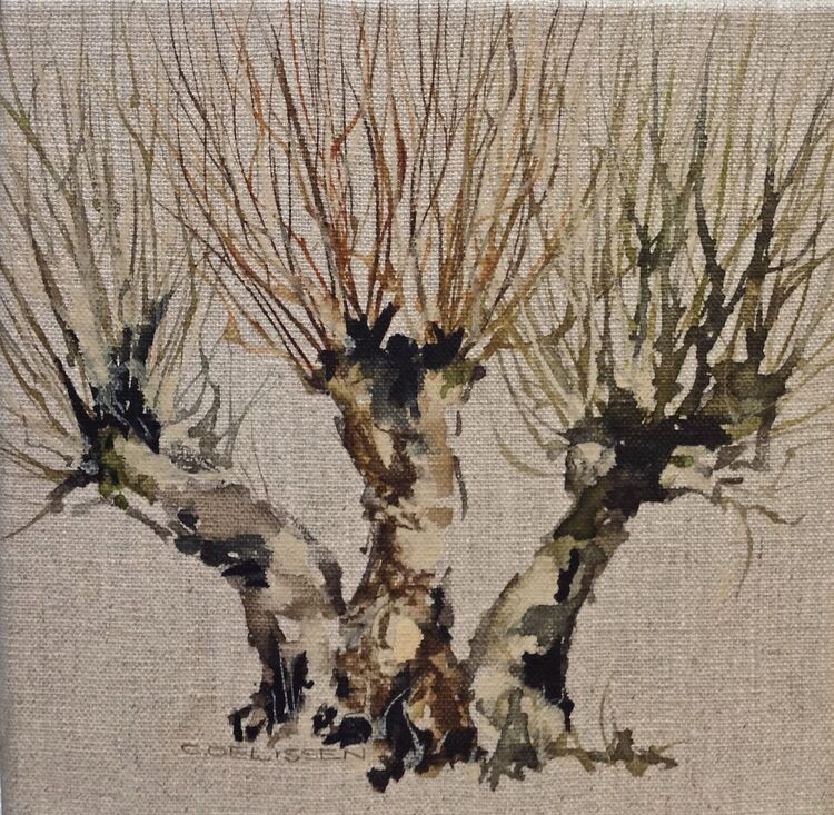 Weiden, Kopfweide, Baum, Aquarell