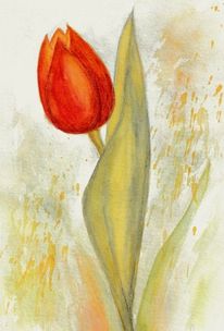 Aquarell, Tulpe, Blume