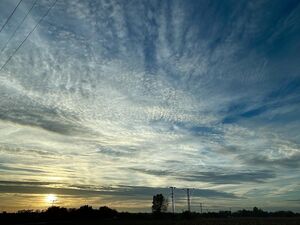 Sonnenuntergang, Baumbuschfeld, Himmelhimmel, Fotografie