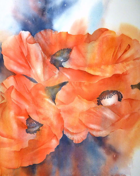 Mohn, Aquarellmalerei, Mohnblüten, Rot