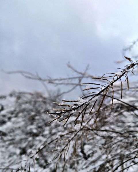 Winter, Natur, Fotografie