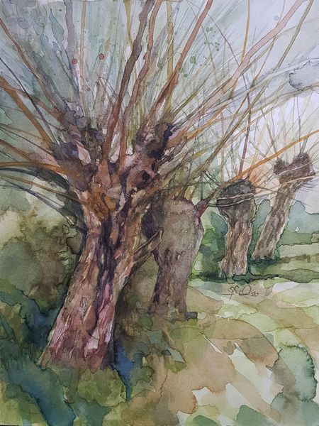 Landschaft, Kopfweide, Zweig, Aquarell