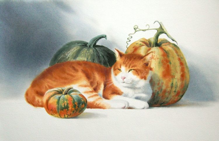 Tiere, Kater, Kürbis, Herbst