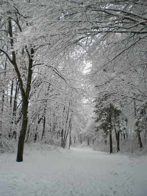 Fotografie, Winter, Schnee