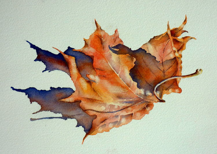 Aquarell, Blätter, Herbst, Aquarellmalerei