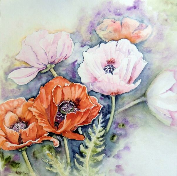 Aquarell, Mohnblumen, Mohn, Blumen