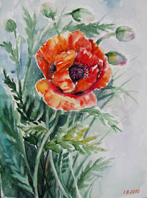 Aquarell, Blumen, Natur, Malerei