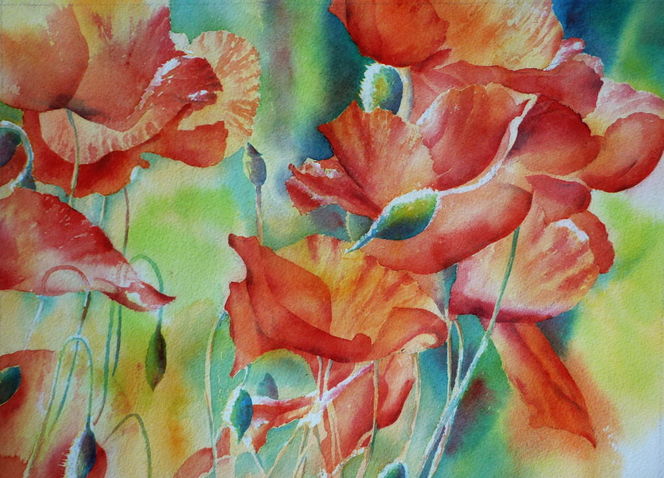 Schimmer, Aquarellmalerei, Blumen, Rot